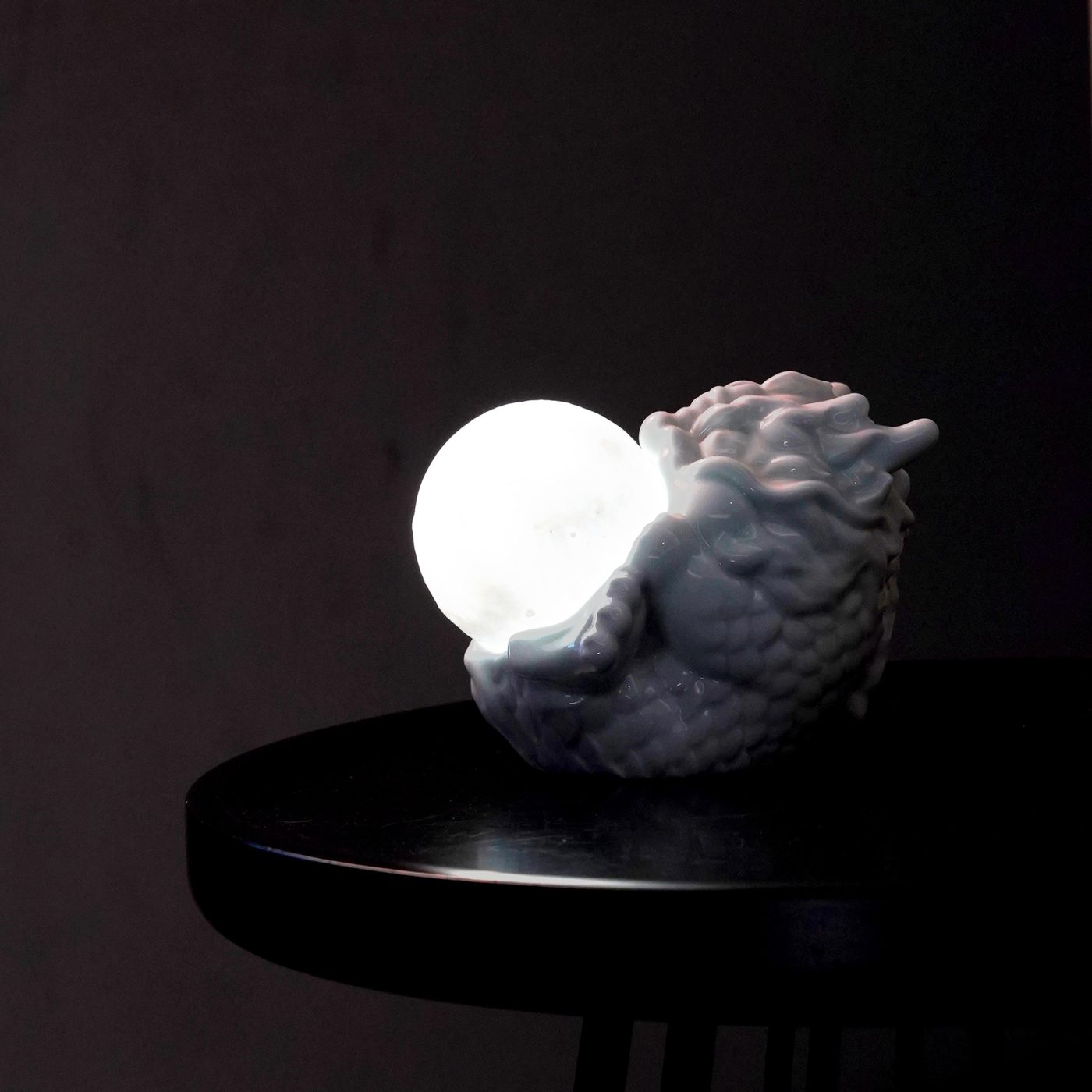 Customer photo dragon lamp